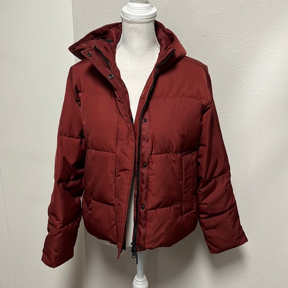 Everlane Jackets & Coats Everlane Jacket Poshmark